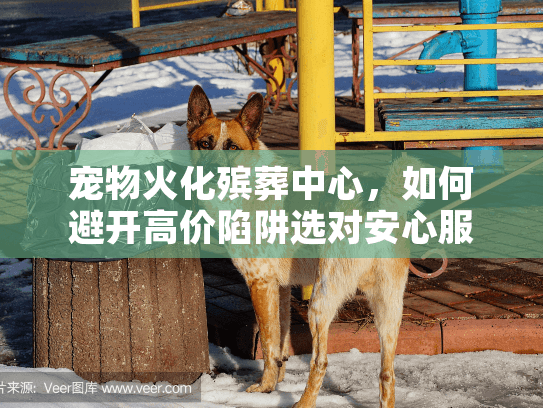 宠物火化殡葬中心，如何避开高价陷阱选对安心服务？