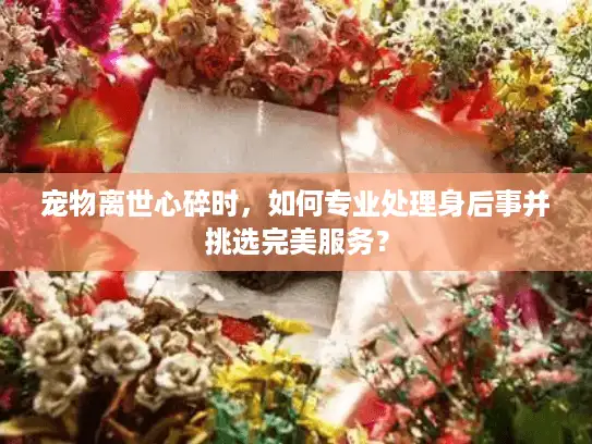 宠物离世心碎时,如何专业处理身后事并挑选完美服务? 宠物离世心碎时,如何专业处理身后事并挑选完美服务?