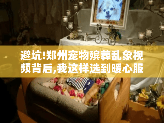 避坑!郑州宠物殡葬乱象视频背后,我这样选到暖心服务
