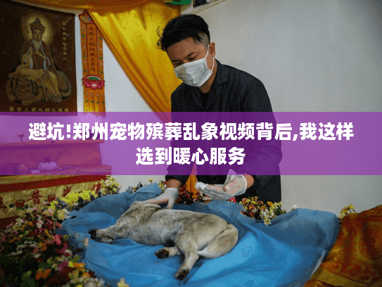 避坑!郑州宠物殡葬乱象视频背后,我这样选到暖心服务