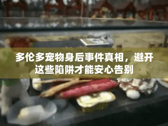 多伦多宠物身后事件真相，避开这些陷阱才能安心告别