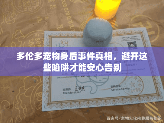 多伦多宠物身后事件真相，避开这些陷阱才能安心告别