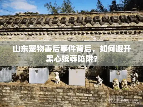 山东宠物善后事件背后,如何避开黑心殡葬陷阱? 山东宠物善后事件背后,如何避开黑心殡葬陷阱?