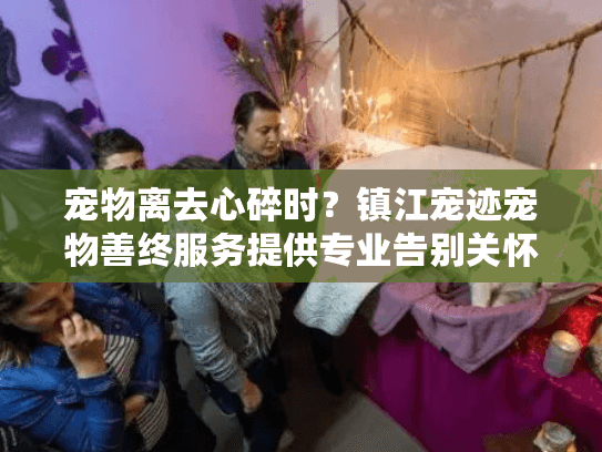 宠物离去心碎时?镇江宠迹宠物善终服务提供专业告别关怀方案 宠物离去心碎时?镇江宠迹宠物善终服务提供专业告别关怀方案