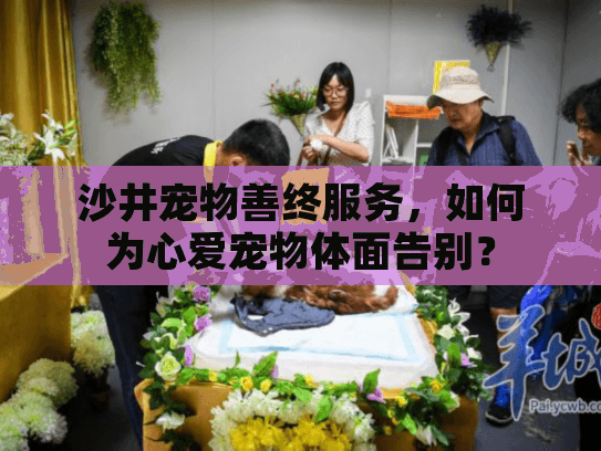 沙井宠物善终服务，如何为心爱宠物体面告别？