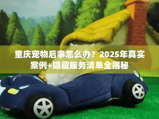 重庆宠物后事怎么办？2025年真实案例+隐藏服务清单全揭秘