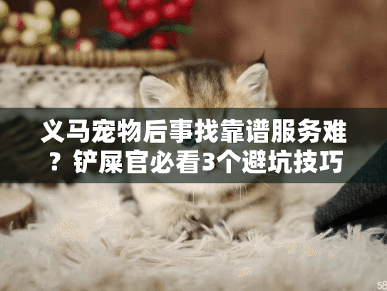 义马宠物后事找靠谱服务难？铲屎官必看3个避坑技巧+真实案例