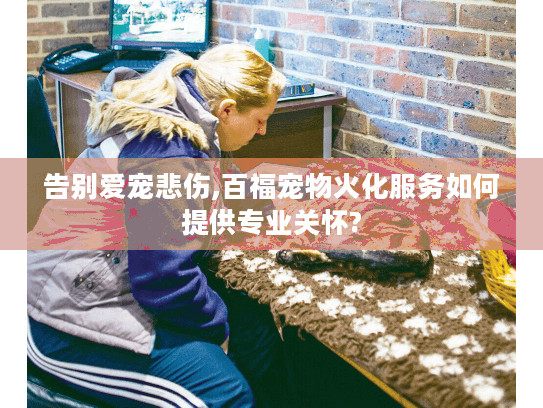 告别爱宠悲伤,百福宠物火化服务如何提供专业关怀? 告别爱宠悲伤,百福宠物火化服务如何提供专业关怀?