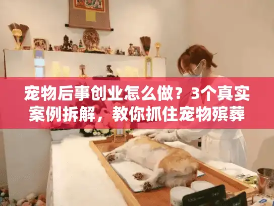 宠物后事创业怎么做？3个真实案例拆解，教你抓住宠物殡葬服务的隐形商机