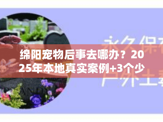 绵阳宠物后事去哪办？2025年本地真实案例+3个少有人知的服务细节