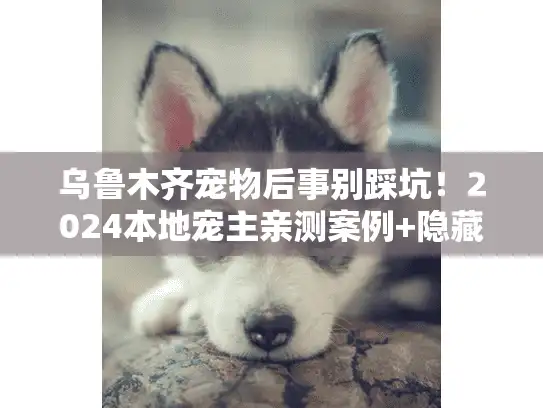 乌鲁木齐宠物后事别踩坑!2024本地宠主亲测案例+隐藏服务清单 乌鲁木齐宠物后事别踩坑!2024本地宠主亲测案例+隐藏服务清单