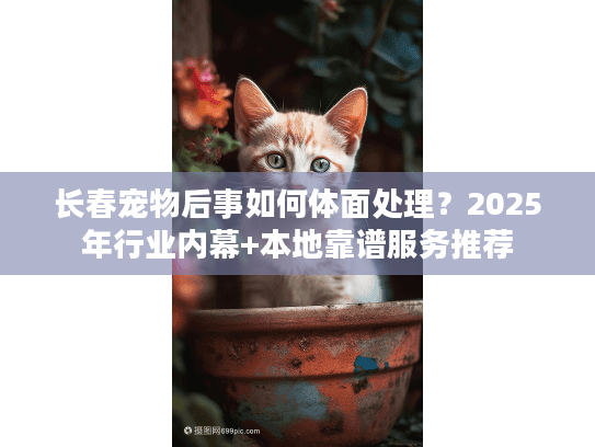 长春宠物后事如何体面处理？2025年行业内幕+本地靠谱服务推荐