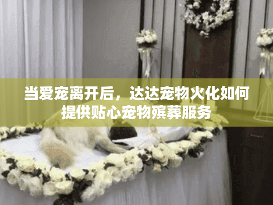 当爱宠离开后，达达宠物火化如何提供贴心宠物殡葬服务
