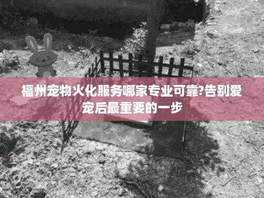 福州宠物火化服务哪家专业可靠?告别爱宠后最重要的一步