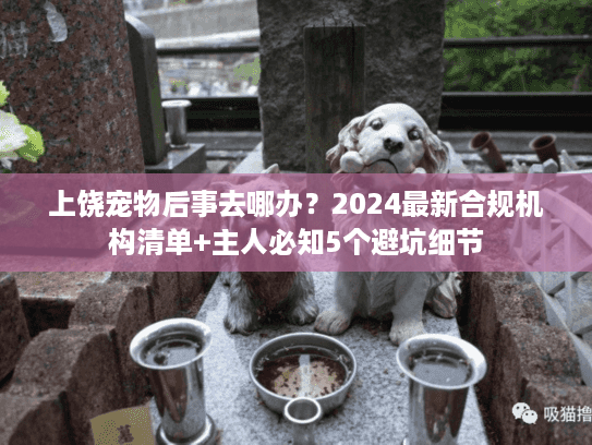 上饶宠物后事去哪办？2024最新合规机构清单+主人必知5个避坑细节