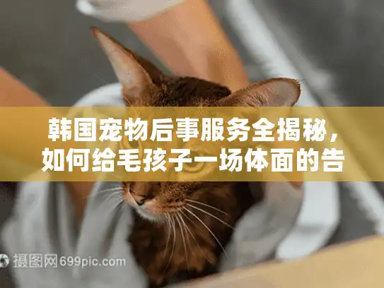韩国宠物后事服务全揭秘，如何给毛孩子一场体面的告别？