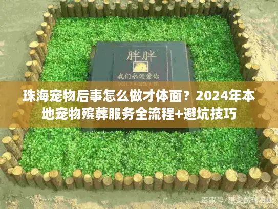 珠海宠物后事怎么做才体面？2024年本地宠物殡葬服务全流程+避坑技巧