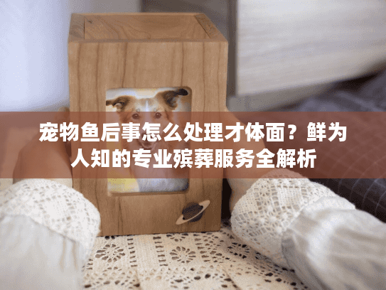 宠物鱼后事怎么处理才体面？鲜为人知的专业殡葬服务全解析