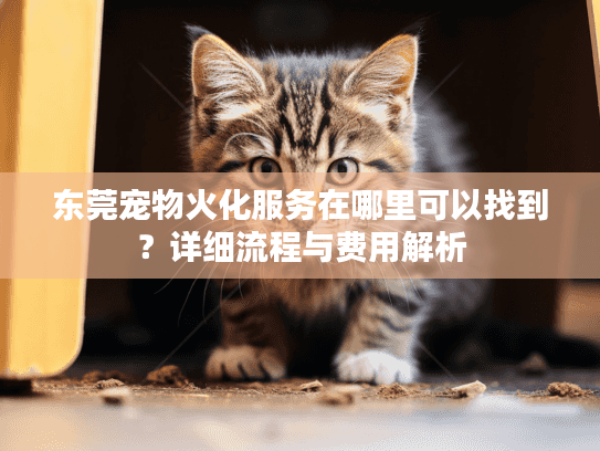 东莞宠物火化服务在哪里可以找到?详细流程与费用解析 东莞宠物火化服务在哪里可以找到?详细流程与费用解析