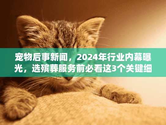 宠物后事新闻,2024年行业内幕曝光,选殡葬服务前必看这3个关键细节! 宠物后事新闻,2024年行业内幕曝光,选殡葬服务前必看这3个关键细节!