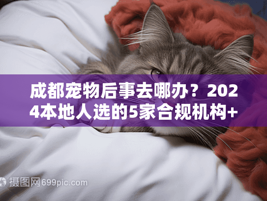 成都宠物后事去哪办？2024本地人选的5家合规机构+避坑指南