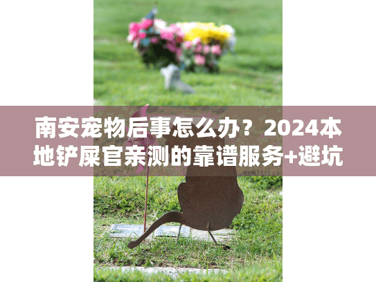南安宠物后事怎么办？2024本地铲屎官亲测的靠谱服务+避坑技巧