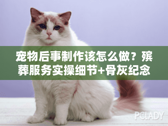 宠物后事制作该怎么做?殡葬服务实操细节+骨灰纪念物DIY全流程(内附行业内幕) 宠物后事制作该怎么做?殡葬服务实操细节+骨灰纪念物DIY全流程(内附行业内幕)