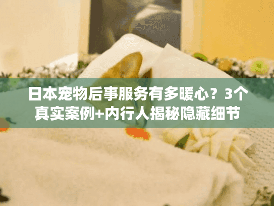 日本宠物后事服务有多暖心？3个真实案例+内行人揭秘隐藏细节