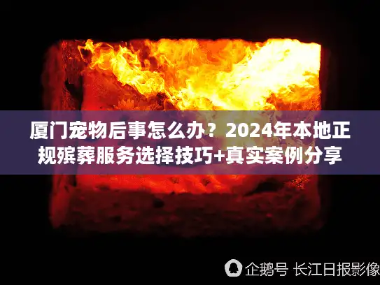 厦门宠物后事怎么办？2024年本地正规殡葬服务选择技巧+真实案例分享