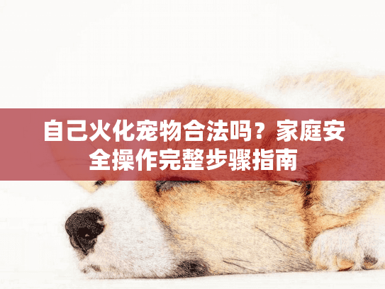 自己火化宠物合法吗?家庭安全操作完整步骤指南 自己火化宠物合法吗?家庭安全操作完整步骤指南