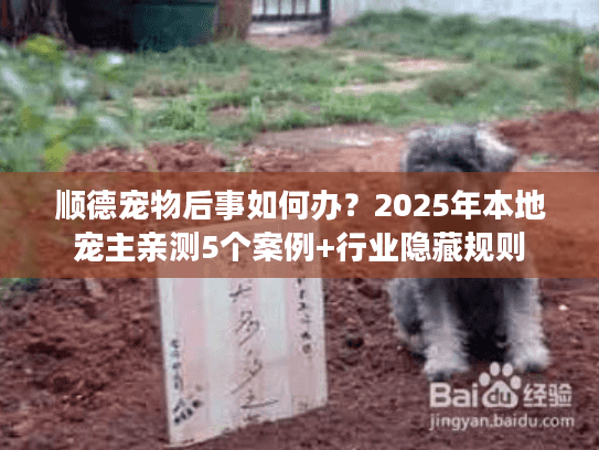 顺德宠物后事如何办？2025年本地宠主亲测5个案例+行业隐藏规则