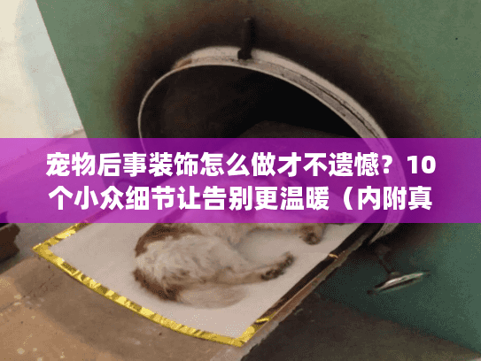 宠物后事装饰怎么做才不遗憾?10个小众细节让告别更温暖(内附真实案例) 宠物后事装饰怎么做才不遗憾?10个小众细节让告别更温暖(内附真实案例)