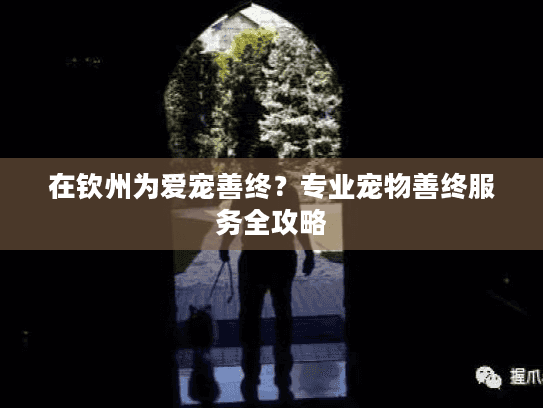 在钦州为爱宠善终？专业宠物善终服务全攻略