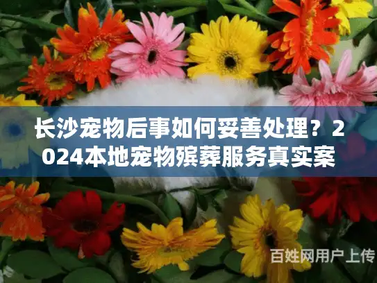 长沙宠物后事如何妥善处理？2024本地宠物殡葬服务真实案例+行业内幕揭秘