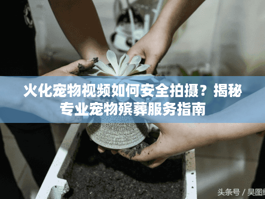 火化宠物视频如何安全拍摄？揭秘专业宠物殡葬服务指南