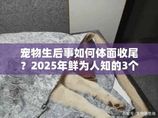 宠物生后事如何体面收尾？2025年鲜为人知的3个服务要点+避坑技巧