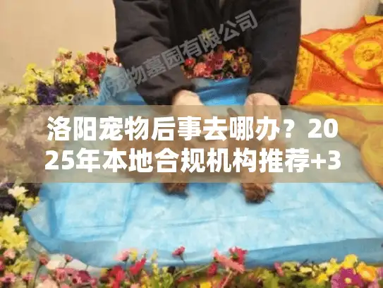 洛阳宠物后事去哪办?2025年本地合规机构推荐+3个少有人知的省钱技巧 洛阳宠物后事去哪办?2025年本地合规机构推荐+3个少有人知的省钱技巧