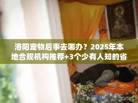 洛阳宠物后事去哪办?2025年本地合规机构推荐+3个少有人知的省钱技巧 洛阳宠物后事去哪办?2025年本地合规机构推荐+3个少有人知的省钱技巧