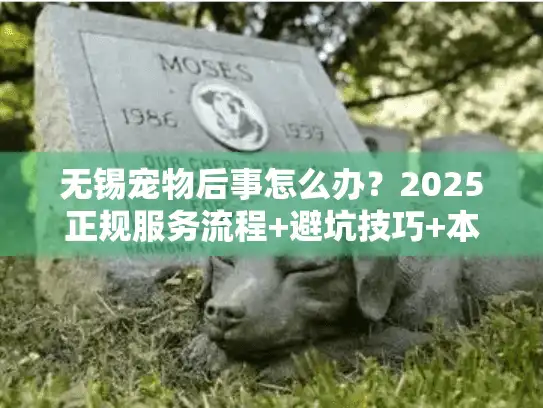 无锡宠物后事怎么办？2025正规服务流程+避坑技巧+本地靠谱机构推荐