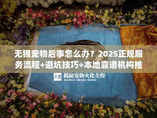 无锡宠物后事怎么办？2025正规服务流程+避坑技巧+本地靠谱机构推荐