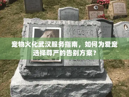 宠物火化武汉服务指南，如何为爱宠选择尊严的告别方案？