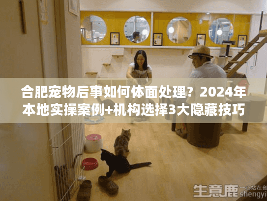 合肥宠物后事如何体面处理？2024年本地实操案例+机构选择3大隐藏技巧