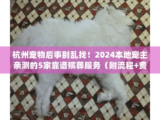 杭州宠物后事别乱找！2024本地宠主亲测的5家靠谱殡葬服务（附流程+费用）