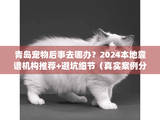 青岛宠物后事去哪办？2024本地靠谱机构推荐+避坑细节（真实案例分享）