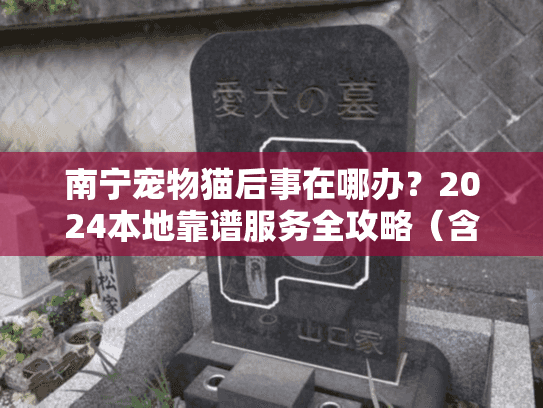 南宁宠物猫后事在哪办？2024本地靠谱服务全攻略（含真实案例+避坑技巧）