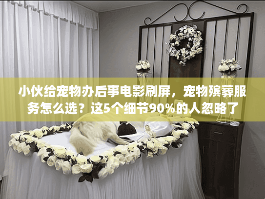 小伙给宠物办后事电影刷屏，宠物殡葬服务怎么选？这5个细节90%的人忽略了