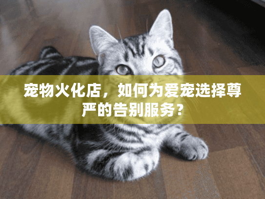 宠物火化店，如何为爱宠选择尊严的告别服务？