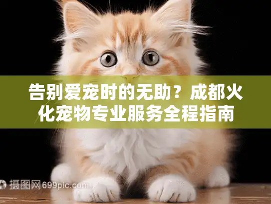告别爱宠时的无助？成都火化宠物专业服务全程指南