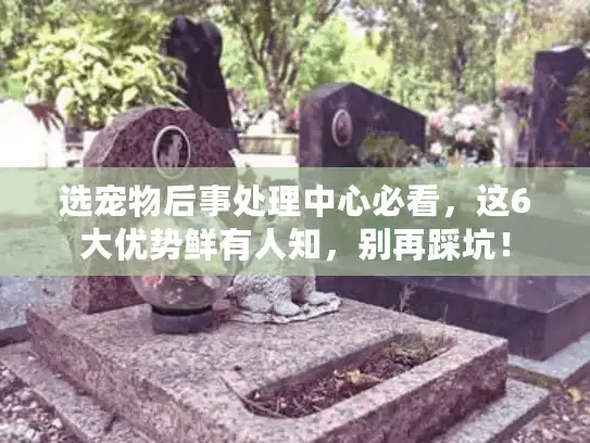 选宠物后事处理中心必看，这6大优势鲜有人知，别再踩坑！