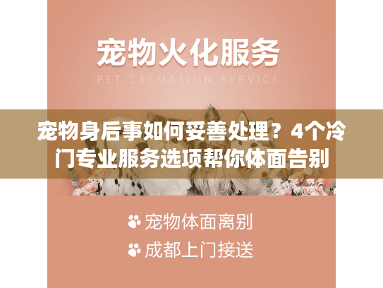 宠物身后事如何妥善处理？4个冷门专业服务选项帮你体面告别